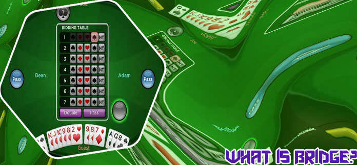 Play bridge card game online