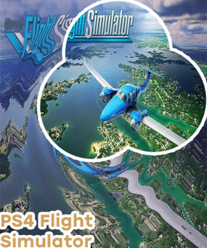 Ps4 flight simulator games